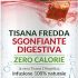 4x L’Angelica Tisana a Freddo Ventre Piatto con Pompelmo Finocchio e Menta Senza Calorie – 72 Filtri