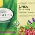 L’Angelica, Le Tisane Emozioni al Cacao, Tisana Funzionale con il Pregiato Cacao Criollo, Caffè e Mandorla, Senza Lattosio, Senza Glutine e Vegan – 15 Filtri – 10 Confezioni